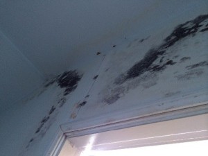 mold-removal-anaheim