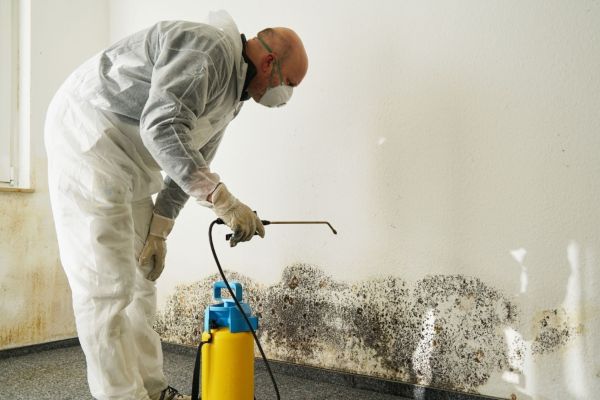 Professional Mold Remediation California
